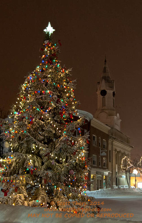 Rochester NH 2012-13 Christmas tree